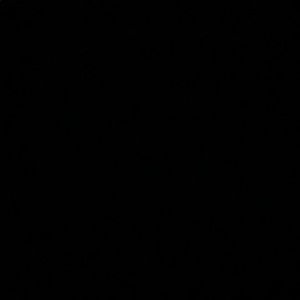 Meet your Posher, Lilly